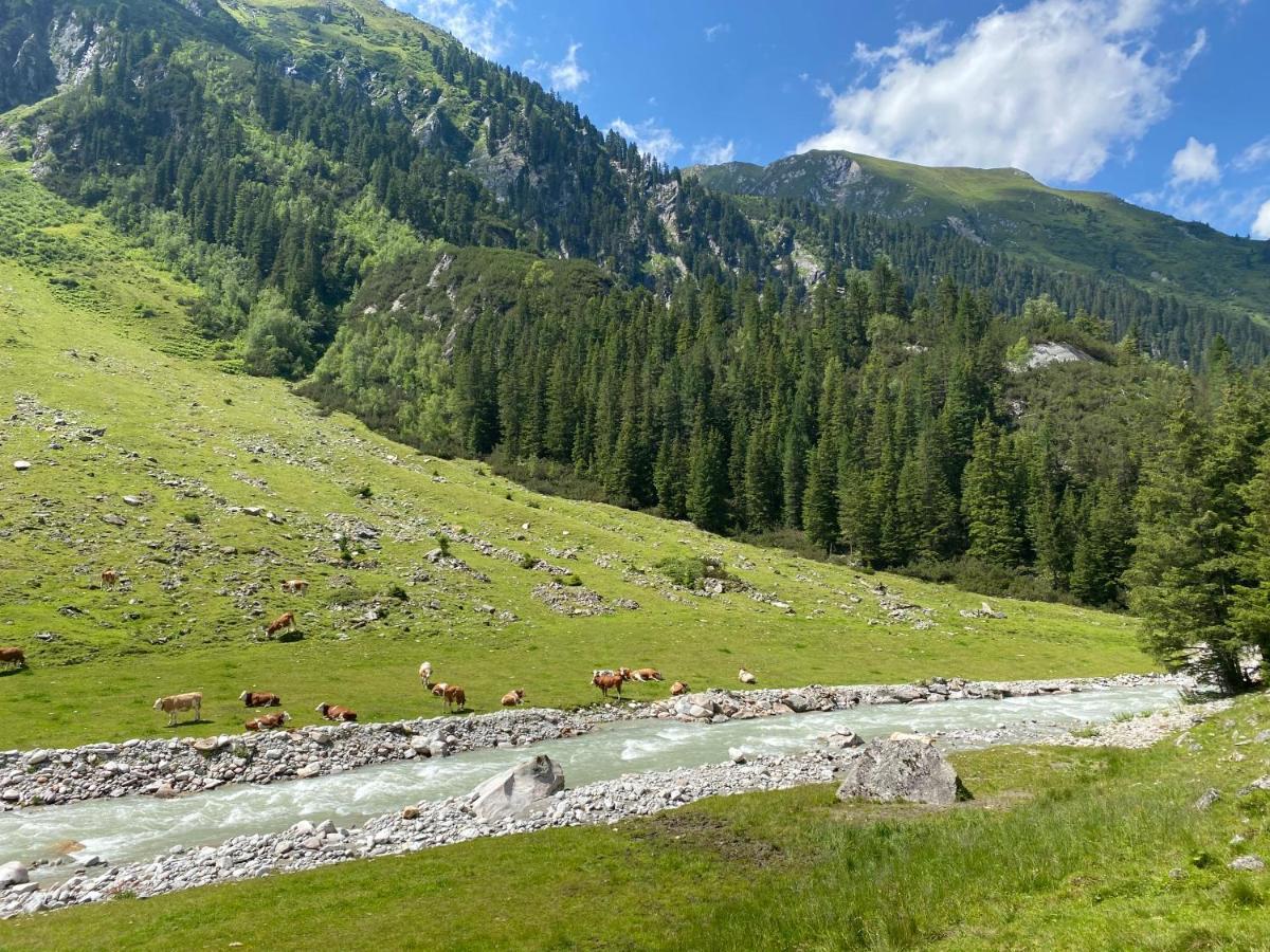 شقة Penthaus Kitzebueheler Alpen Neukirchen am Großvenediger المظهر الخارجي الصورة