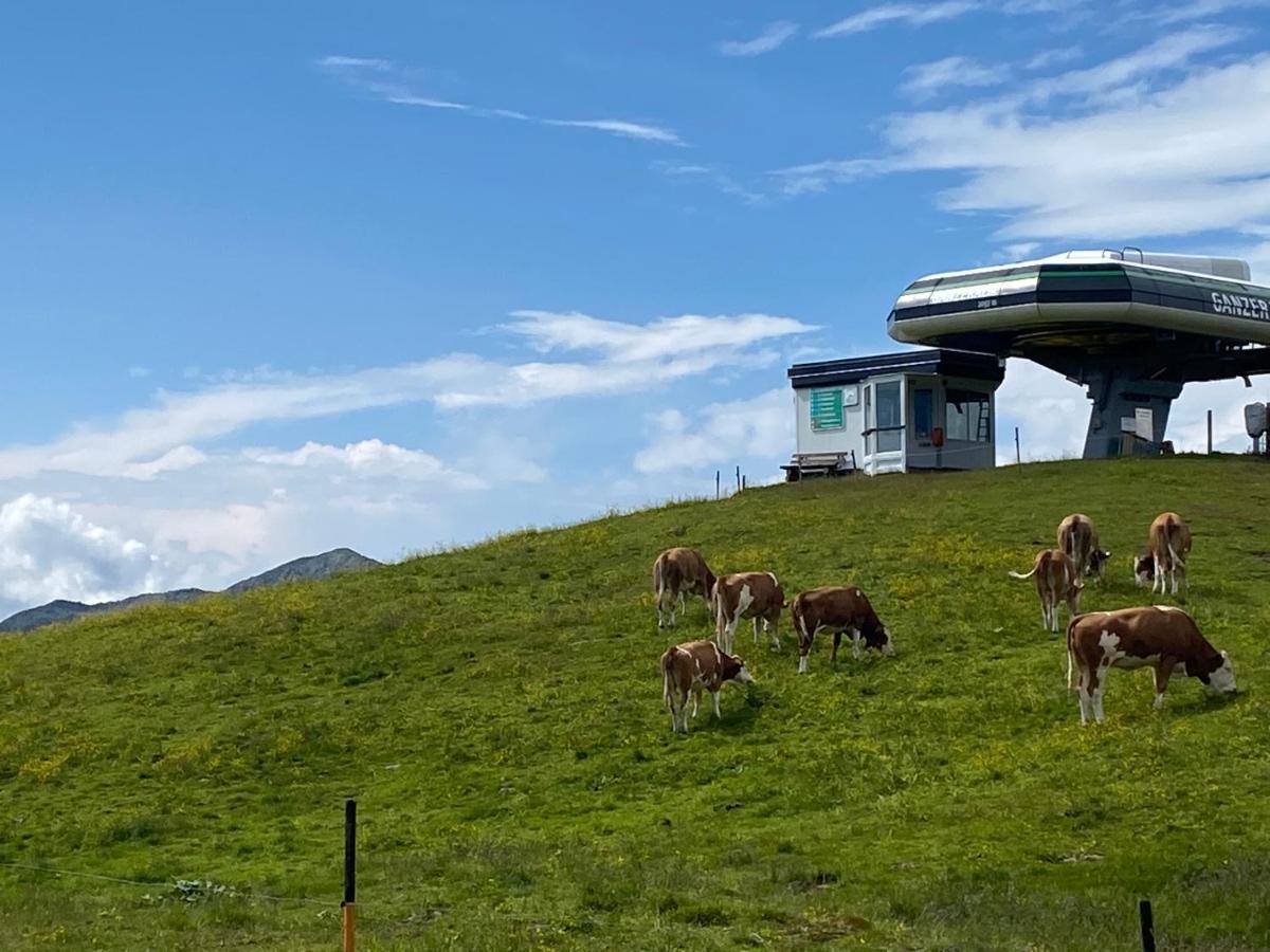 شقة Penthaus Kitzebueheler Alpen Neukirchen am Großvenediger المظهر الخارجي الصورة